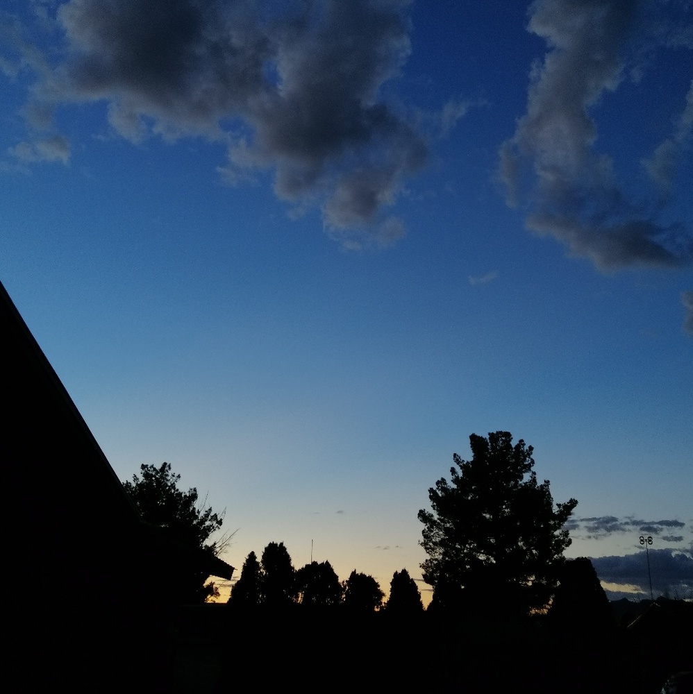 Meet your Posher, Tony